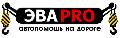 увеличить ЭВАPRO в Челябинске